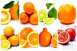 1 Fruit Orange, All Varieties, Raw
