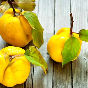 1 Fruit Quince, Raw