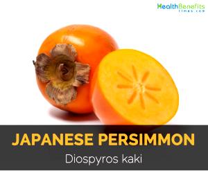 1 Fruit Without Refuse Dried Japanese Persimmons