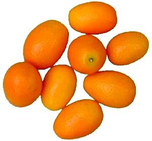 1 Fruit Without Refuse Kumquats