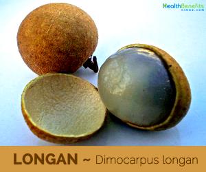 1 Fruit Without Refuse Longans