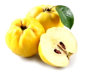 1 Fruit Without Refuse Quinces