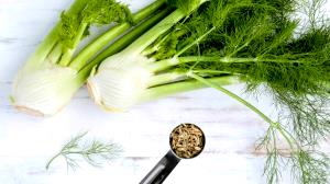 1 Glass Fennel Digestive