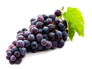 1 Grape Grape, European-Type, Raw