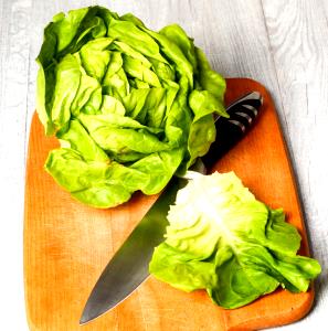 1 Head (5" Dia) Boston Lettuce