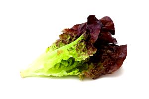 1 Head Red Leaf Lettuce