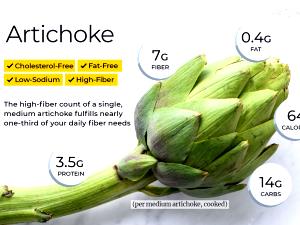 1 Heart Cooked Artichoke (Fat Not Added in Cooking)