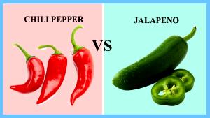 1 Jalapeno Pepper Hot Chili Pepper