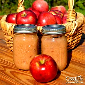 1 Jar Applesauce, Strained