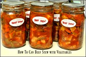 1 Jar Beef W/Vegetables