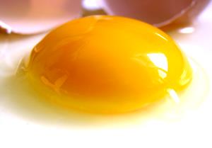 1 Jar Cereal W/Egg Yolks, Junior