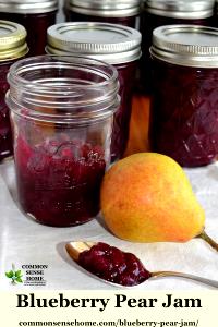 1 Jar Homestyle Pears & Blueberries, Strained