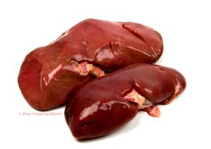 1 Kidney Pork Kidney, Raw