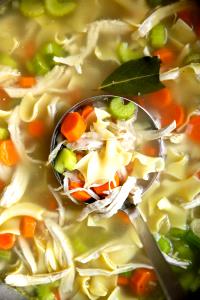 1 ladle (8 oz) Chicken Noodle Soup