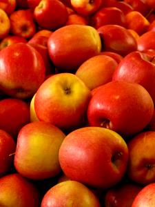 1 Large (3-1/4" Dia) (approx 2 Per Lb) Apple