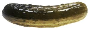 1 Large (4" Long) Sour Cucumber Pickle