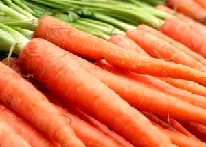 1 Large (7-1/4" To 8-1/2" Long) Cooked Carrots (Fat Added in Cooking)