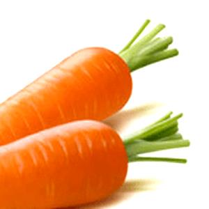 1 Large (7-1/4" To 8-1/2" Long) Cooked Carrots (Fat Not Added in Cooking)