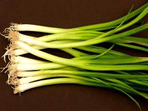 1 Large Cooked Young Green Onion