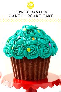 1 Large Cupcake (Not Chocolate)