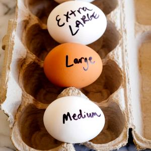 1 Large Egg (Whole)