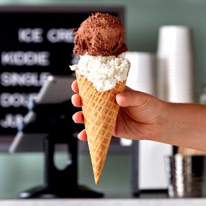 1 Large Frozen Yogurt Cone (Flavors Other Than Chocolate)