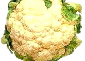 1 Large Head (6-7" Dia) Cooked Cauliflower (from Fresh, Fat Not Added in Cooking)