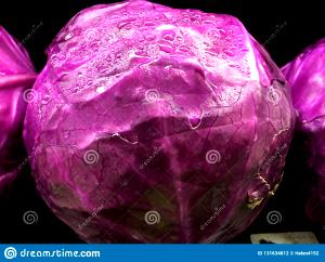 1 Large Head (about 5-1/2" Dia) Red Cabbage
