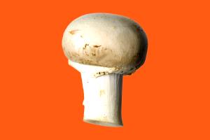 1 Large Mushrooms