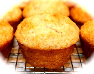 1 Large Plain Muffin