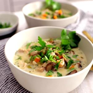 1 large serving Chicken Mushroom Soup