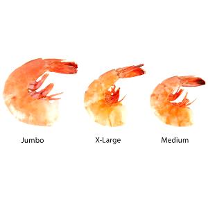 1 Large (shelled) Shrimp