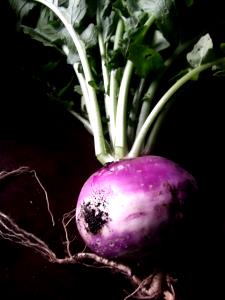1 Large Turnip