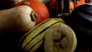 1 Lb Acorn Winter Squash (with Salt, Mashed, Cooked, Boiled)