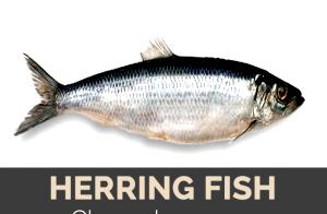 1 Lb Atlantic Herring (Cooked, Dry Heat)