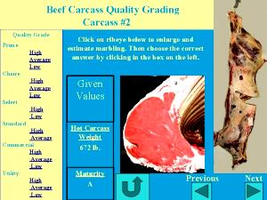 1 Lb Beef Carcass (Choice Grade)
