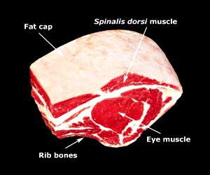 1 Lb Beef Ribs (Large End, Lean Only, Trimmed to 1/2" Fat, Prime Grade, Cooked, Roasted)