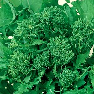 1 Lb Broccoli Raab