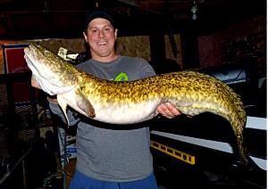 1 Lb Burbot (Fish)