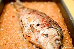 1 Lb Carp Fish (Cooked, Dry Heat)