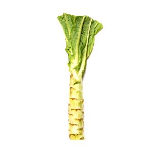 1 Lb Celtuce