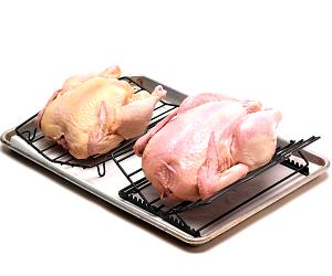 1 Lb Chicken Meat (Broilers or Fryers, Roasted)