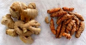 1 Lb Ginger