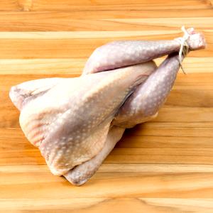1 Lb Guinea Hen Meat and Skin