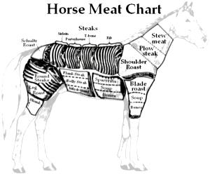 1 Lb Horse Meat