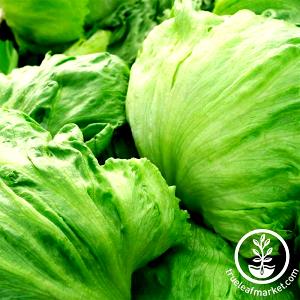 1 Lb Iceberg Lettuce (Includes Crisphead Types)
