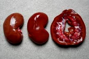 1 Lb Lamb Kidneys