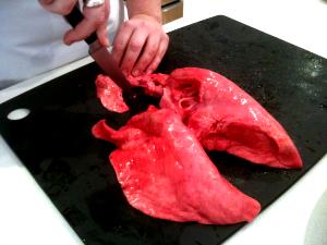 1 Lb Lamb Lungs (Cooked, Braised)