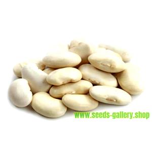 1 Lb Lima Beans (Immature Seeds)