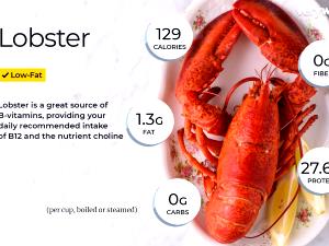 1 Lb Northern Lobster (Cooked, Moist Heat)